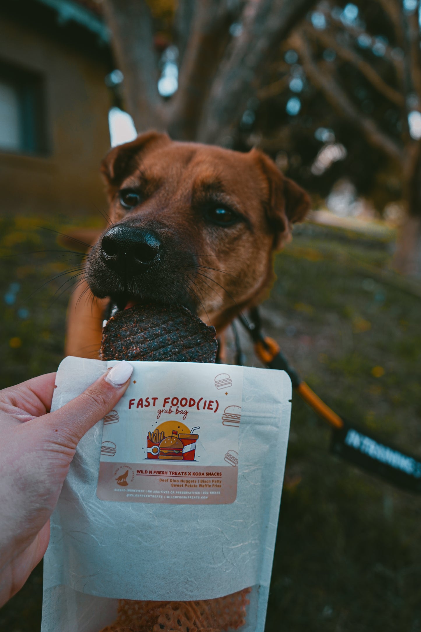 Fast Foodie Grab Bag | Wild n Fresh Treats x Koda Snacks