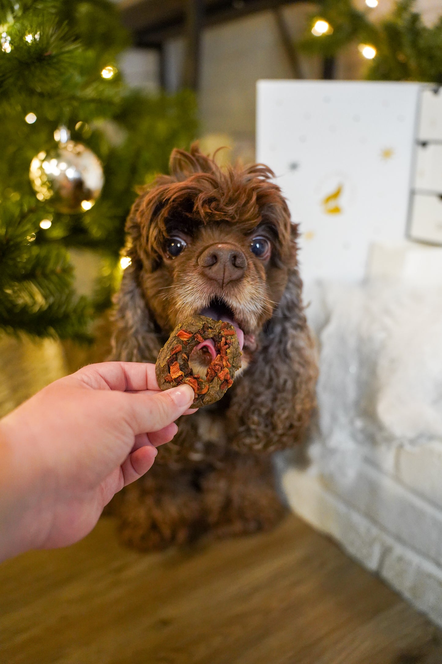 Day 3: Wreath Cookie (Limited Time)