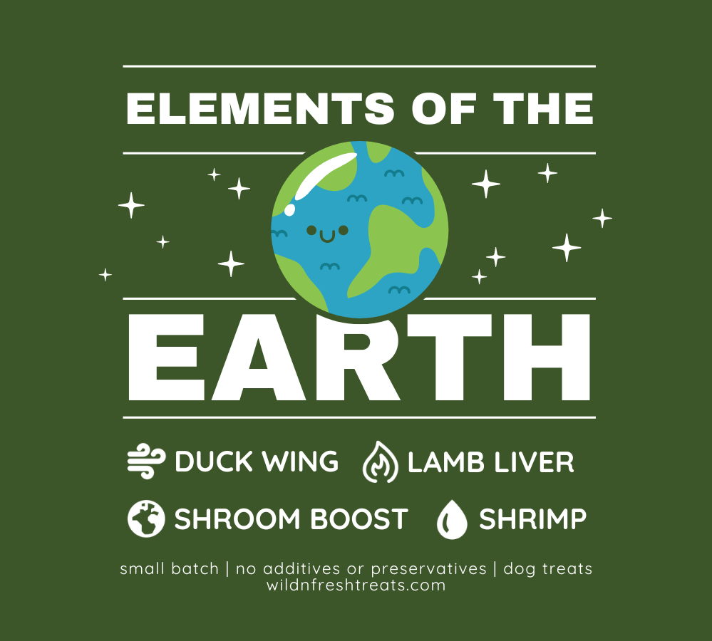 Elements of the Earth Grab Bag - Earth Month