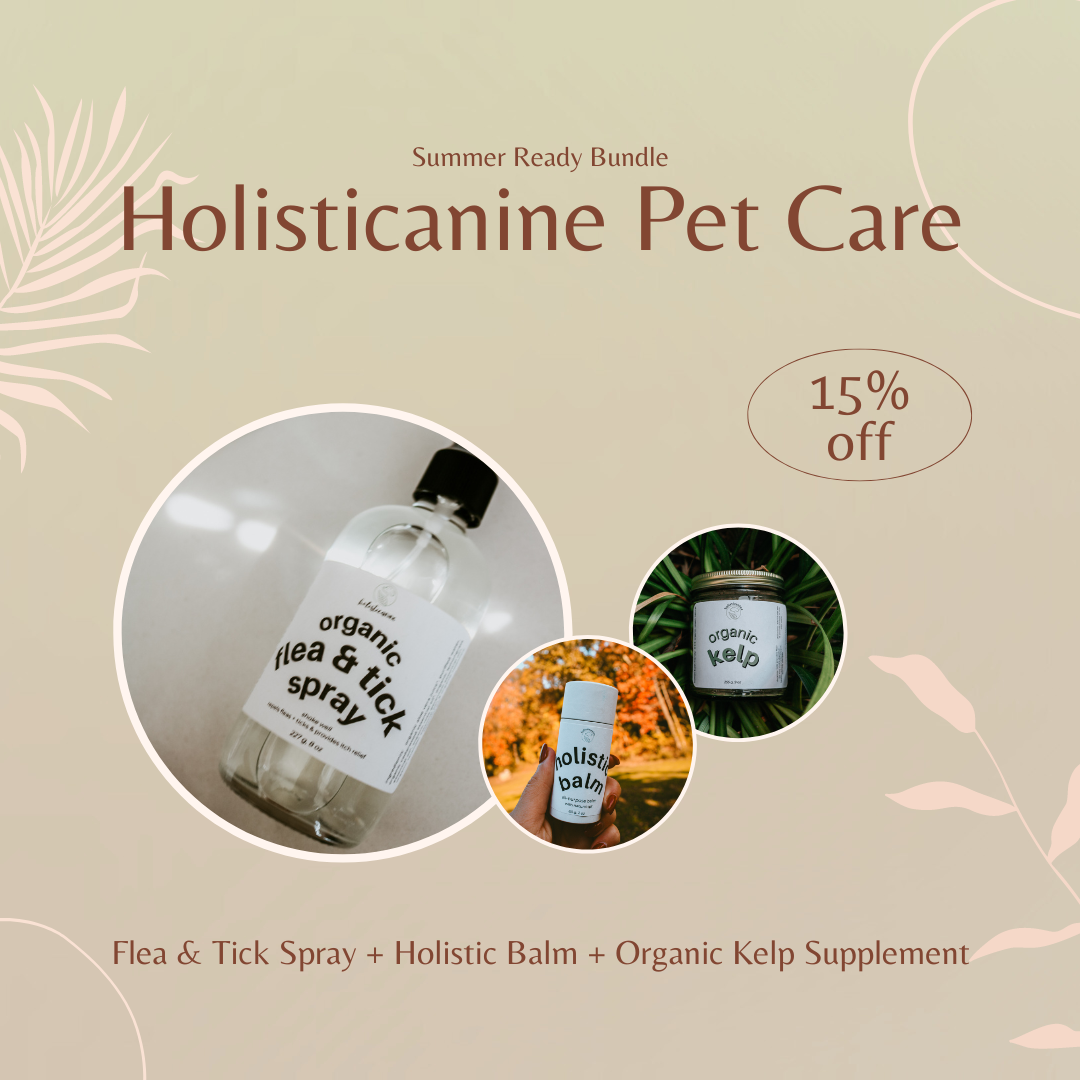 Summer Ready: Holisticanine Pet Care Bundle - Kelp