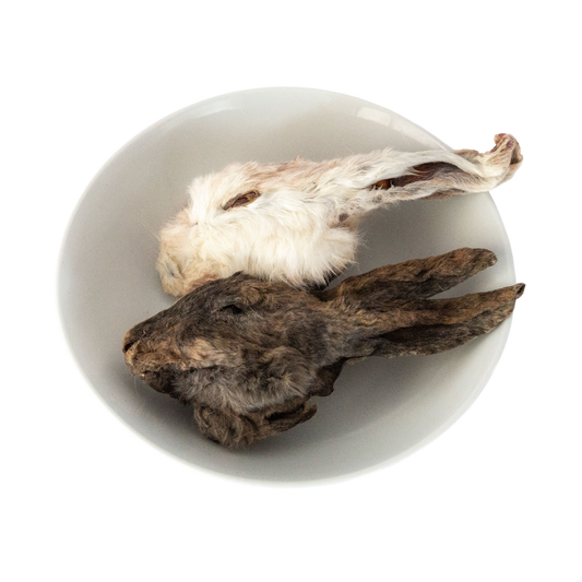 Dehydrated Rabbit Head